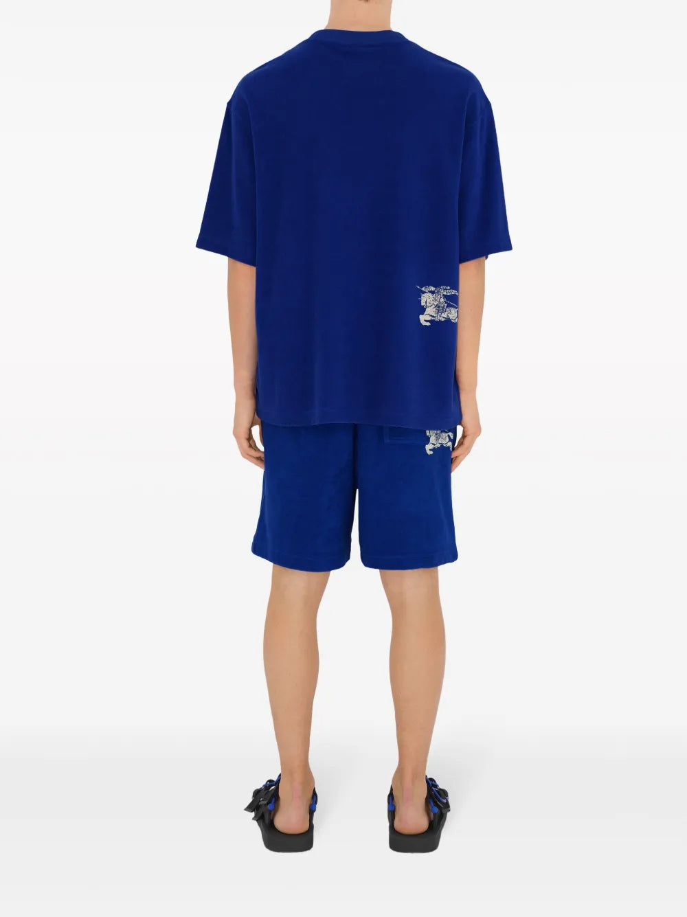 Cavalier EKD T-shirt